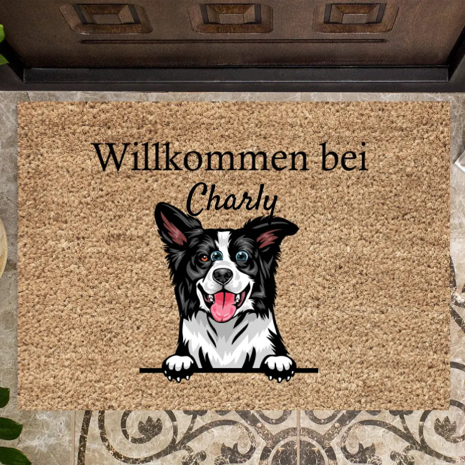 Amantes de los gatos - Felpudo personalizado (1-4 gatos)