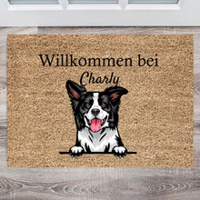 Cargar imagen en el visor de la galería, Personalisierte Haustier-Fußmatte Hund &amp; Katze (1-4 Haustiere)
