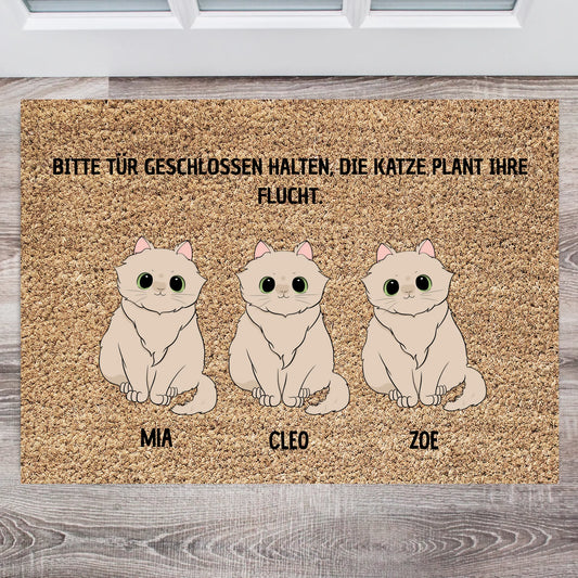 "Plan Miau" - Personalisierte Katzen-Fußmatte mit witzigem Spruch (1-5 Katzen)